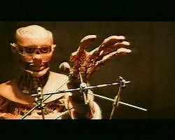 Anatomy (2000)
