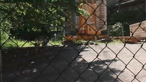 2.7K views · 36 reactions | The Bergpark and Schloss Wilhelmshöhe in Kassel, Germany #schloss #kassel #wilhelmshöhe #history #herstory | History of Royal Women | Facebook