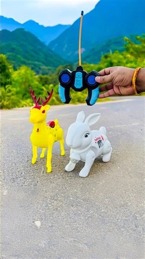 RC Rabbit vs Deer Walking Toy Remote Control Test 🔥😱