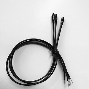 [Hot Item] Epoxy Encapsulation Ntc Thermistor Probe for Waterproof Working Condition