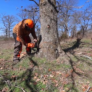 Amateur Logger, Professional Redneck #logging #sawmill #stihl #stihl500i | Rockhill Farm - Tractors, Firewood, and Excavating