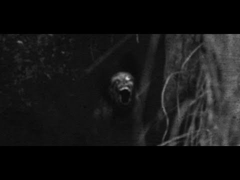 TERRIFYING!!! Found Footage from a Hiker that Vanished