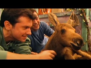 Zoboomafoo - Baby Moose | WildBrain Zoo | Animal Lovers Kids Show