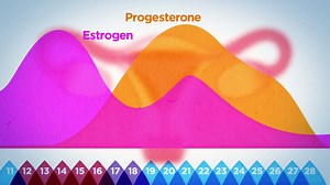 2.9K views · 81 reactions | How menstruation works in a female body | World Genetics | Facebook