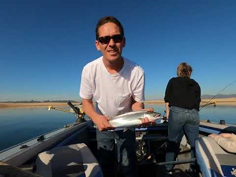 King salmon Folsom lake 2021. Downrigger tips and tricks