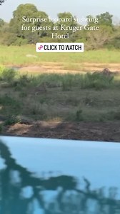 Getaway Magazine on Reels