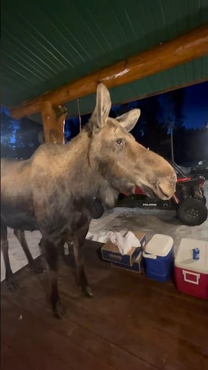 Meeting the locals in Dubois Wyoming ! @Warmsprings lodge