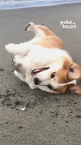 Digging deep for some #beach #fun | Poke My Heart