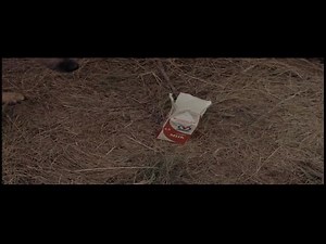 Thunderheart Full Movie Graham Greene Sheila Tousey Val Kilmer | Peacemaker 315