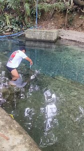 Ganda Linaw ng bukal na ito na matatagpoan sa General Luna, Barangay Ibabang Bacong 10pesos intrance fee makakaligo kana sa malamig at preskong tubig Ng spring #fyp #foryou #GenLuna #GeneralLunaQuezon #ibabangbacongspring | Quezon Beaches and Tourist Spot