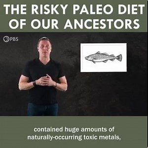 234K views · 1.9K reactions | The Risky Paleo Diets of Our Ancestors 綾 | Eons • PBS | Facebook