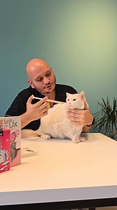 Giving cats liquid medication can be a struggle! 🐱💧 Tried using a syringe for Sultan, but let’s just say, it didn’t go as planned! 😂 Do you have any purr-fect tricks up your sleeve for giving your cat their meds? Share your tips below and help us (and Sultan) out! #CatLife #PetTips #CatMedication #Petriotics #Lebanon #onlineshopping #petfood #pets #Dog #Cat #FriendshipDay #ValueOurPets #PetLove | Petriotics