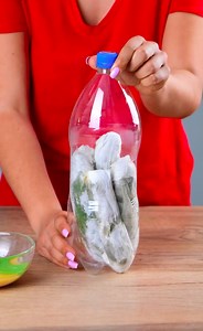 Zero Waste Kitchen: Simple Preservation Tips | 5-Minute Recycle