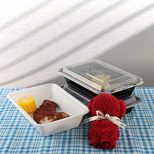 [Hot Item] Microwave-Safe Disposable Plastic Dinner Boxes Bulk Pack of Disposable Plastic Food Boxes for Catering