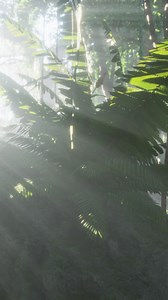 Deep tropical jungles of Southeast Asia