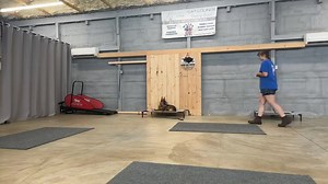 Ruby working with Juliet on her commands today. #mdk9boarding #masondixonk9 #mdk9training #localdogtrainer #marylanddogtrainer #dogboardandtrain #mdk9 #boardandtrain #dogtrainer #balancedtrainer | Mason Dixon K9