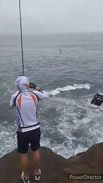 Chasing the big one's