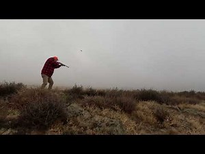 Jump Shooting Ducks| Remington 1100 20 Gauge