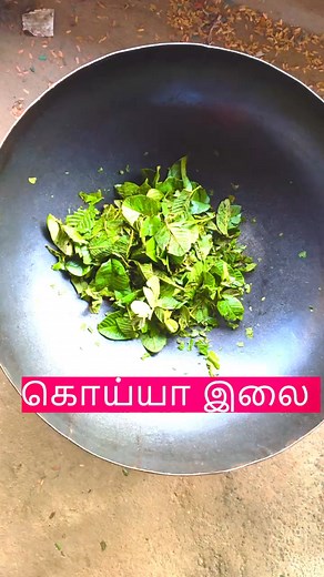 இத்தனை மூலிகைகள் இதுல இருக்கறப்ப எப்படி முடி கொட்டும்? #hair #longhair #hairoil | Tamil4All