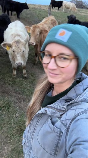 1.4K views · 107 reactions | hi bonny 懶#kl2farms #homestead #farm #countrylife #farmer #missourifarm #kl2cow #cow #cowstead #cowsofinstagram #cowgram #cow #cowmom #cowdad #cowfarm #petcow #cowloversclub #cowloversworld #cowtok #cowsoftiktok | KL2farms | Facebook
