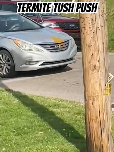 Woman poops on a car in Prospect Park #Delco