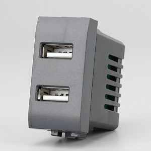 [Hot Item] Dark Gray 2 Ports USB Type a Light Wall Switch and Socket Outlet Module Key