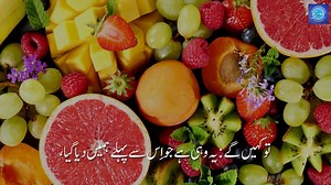 Translation of Quran by Javed Ahmed Ghamidi (Al-Bayan) Surah Al-Baqrah (02) Ayat 21-29 Recited by Jawad Ahmed Ghamidi | Al-Mawrid