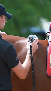 Did you know about the Equissage Hand Unit? 💥 Our compact but powerful therapy unit allows horses to benefit from our industry leading therapy in localised areas. From poll to hind quarters and shoulder to sole- we’ve got your horse covered!The unit is incredibly simple to use, easy to take to training and shows and even better, able to be used on horses AND humans 🤩 Want to learn more? Contact us today via our website! | Equissage UK