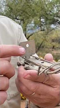 How to Set a Gopher Trap