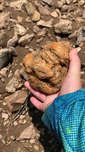 Hunting for geodes #geode #rockhounding #rockhound #geodehunting #geodecracking | KM3-sight
