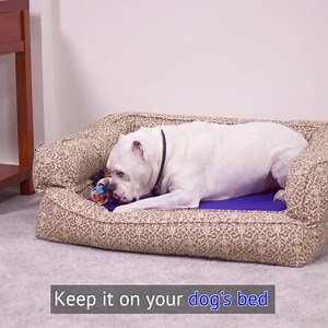 211K views · 834 shares | 4th of July Sale! 20% Off Everything. Code: FIREWORKS20 Let your dogs cool off quickly with this smart self-cooling mat - provides comfort for hours. | BulbHead | Facebook