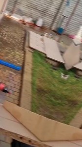 312K views · 1.3K reactions | Random facts you didn’t know… #reels #factsoflife #factsdaily | Real Facts | Facebook