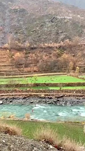 Astore, Markhor grazing openly in tuse sasha conservancy area | contact for customized tours 923554421775 | Markhor tours