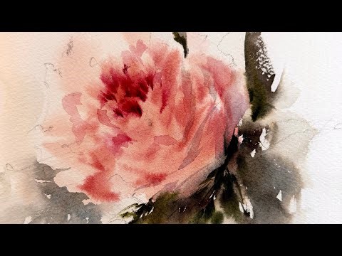 Watercolor Abraham Darby Rose. Soft Apricot Pink Floral Tutorial