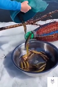 302K views · 1.8K reactions | TAZ on Reels | Facebook