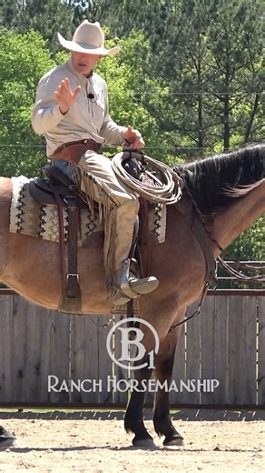 The fundamentals of neck reining. #B1 #BEONE #6666EquineSupplements #fuelforlegendaryhorses #ES20 #Respectthecode | B1 Horsemanship