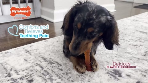 Planner Box Stickers / 54 Write in Smudge Proof Vinyl Stickers (1.5”) / Movie Books Day Tracker/Essential Productivity Life/Bullet Bujo Journal/Todo to Do (Appointment, Ocean-3 Sheets)