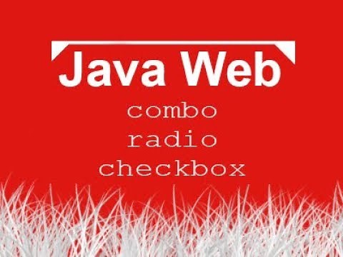 Aula de Java Web 005 - JSP, Formulário com combo, radio e checkbox.