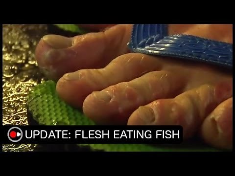Skin Eating Fish in SE Asia! - Quick Travel Update