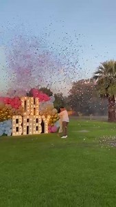 El piloto de una avioneta perdió la vida este sábado tras realizar acrobacias durante un festejo de revelación de sexo de un bebé y desplomarse en San Pedro, Navolato. | Cadena Noticias