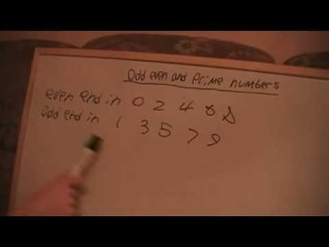 odd even and prime numbers