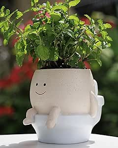 Smily Face Planter Pot Funny Toilet Plant Pots Cute Resin Flower Head Planters Succulent Pots for Indoor Outdoor Plants Unique Bathroom Planter with Drainage Hole (Large)