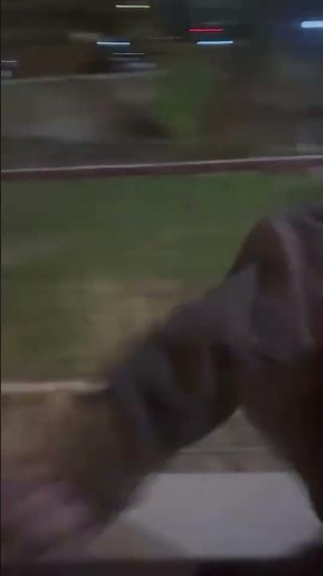 Voyeur caught at Kamloops university dorm room