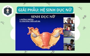 GIẢI PHẪU HỆ SINH DỤC NỮ | TRUNG TÂM DẠY Y KHOA BS NGÔ NGHĨA ĐỨC Hệ sinh dục nữ hay bộ phận sinh dục nữ là một hệ thống sinh lý trong cơ thể nữ giới với nhiều chức năng phức tạp: giao hợp, tiếp nhận tinh trùng, thụ tinh, cấy thai, nuôi thai và sinh con. Các cơ quan chính trong bộ phận sinh dục phụ nữ nằm trong phần dưới cùng của bụng xuống đến đáy chậu, dưới ruột, trước hậu môn. Khác với cơ quan sinh dục bên ngoài ở nam phô bày rõ rệt, những cơ quan sinh dục bên ngoài ở nữ thường nằm khuất phía 