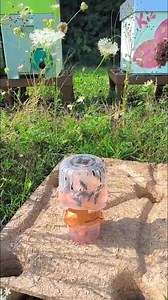 40K views · 197 reactions | Did you know?  Our Swiss Asian Hornet Trap adapts to the season for better selectivity and results:  Early spring → no reducer  First European hornets → 9 mm reducer ☀️ Summer & autumn → 8 mm reducer  Now available: VESPATTRACT 50 ml A dedicated Asian Hornet attractant, made for the Swiss Asian Hornet Trap. One smart trap. The right entry size. The right attractant. | Abelo | Facebook