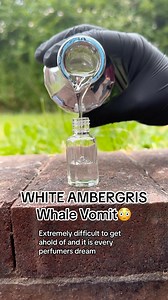 51K views · 132 reactions | Ambergris is Whale Vomit 冷 sounds nasty but it is a treasured perfume ingredients. #ambergris #whale #perfume #perfumes #perfumecollection #perfumelovers #perfumeaddict #perfumery #fragrance #fragrancelover #fragrancecollection #fragranceaddict #fragrancelovers #oud #oudoil #naturalperfume #perfumeoil #fragranceoils #attar #explore #explorepage #trend #trending #foryou #scentoftheday #fragranceoftheday #arabianperfumes | HeavenlyOuds | Facebook