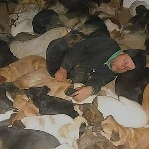 27M views · 661K reactions | This guy has rescued hundreds of dogs and sleeps in -4 degree weather with them. Let's help him build a winter shelter! | The Dodo | Facebook