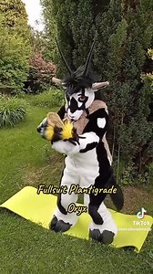 Fullsuit Plantigrade Slot - Etsy