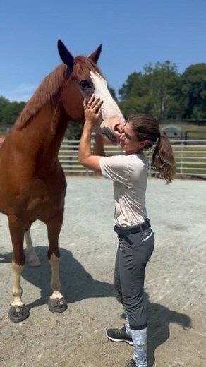 Colby’s Crew Rescue: Allison Smith on Instagram: "COLBY AND ALLY UPDATE— here’s some footage from todays session where Ally and Colby (yes THAT Colby, the one the rescue is named after) did some liberty training. I filmed these clips for a later video to show how much he’s grown up, matured and changed but the love, trust and respect between these two is so much palpable and powerful — you can feel it through the screen. Colby loves my wife out loud, just like I do, and it’s an incredible gift t