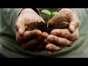 GenScript 20th Anniversary